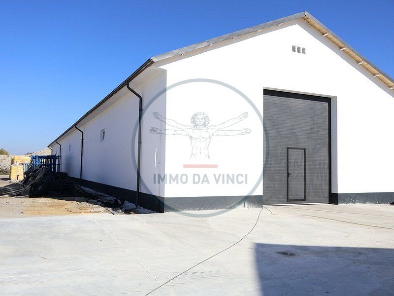 Inchiriem Hale Industriale / locuri de depozitare /birouri - Poză 8