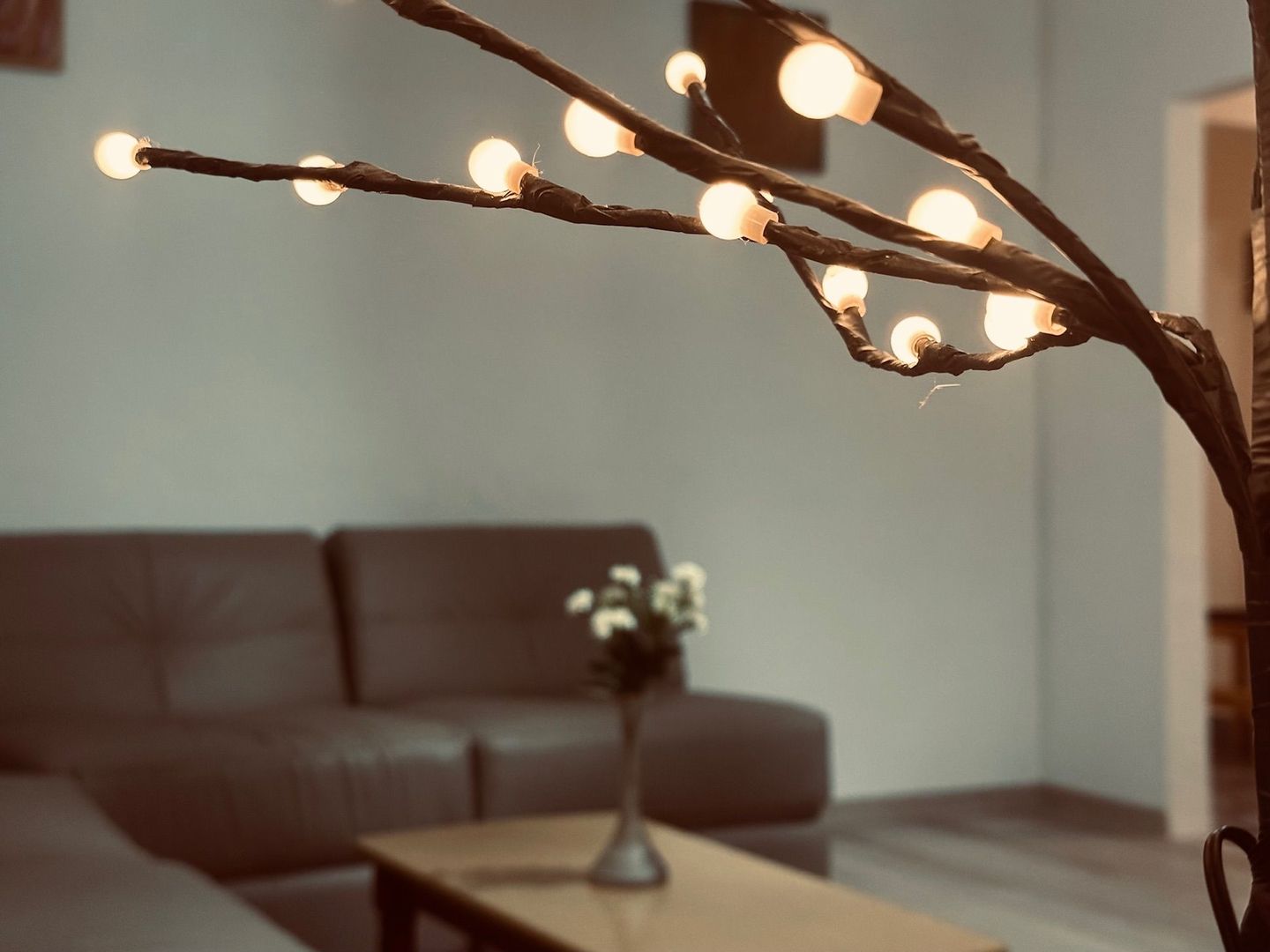 3 camere | spatios & decomandat | TM - Poză 1