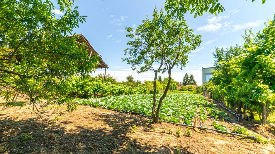 Vândută Casă cu 4 camere Pâncota - Poză 17