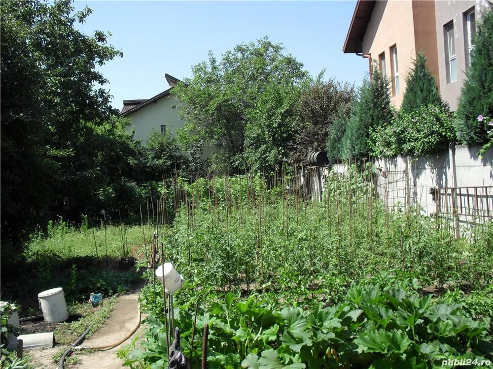 Teren si hala mica industriala  zona Fundeni-Colentina- Doboesti - Poză 8