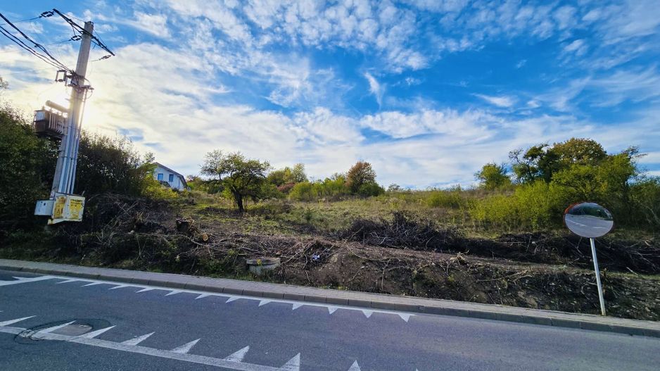 Teren de vanzare,16000 mp - parcelabil, 3 minute de centru! - Poză 4