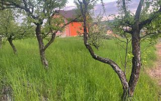 Teren intravilan | Str. Soarelui - Poză 8