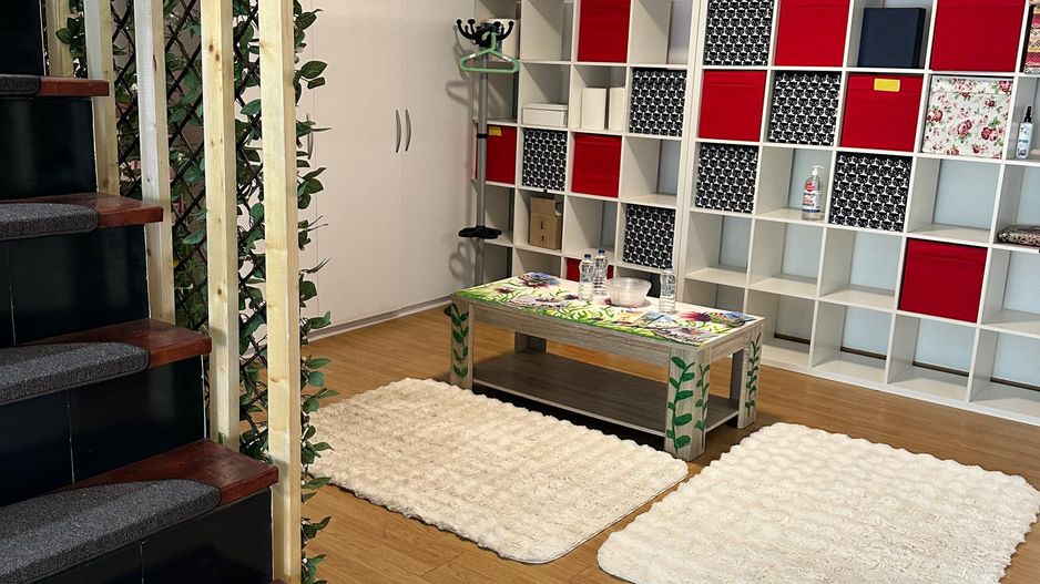 SPATIU COMERCIAL DOMENII, LOC PARCARE, CENTRALA, MOBILAT/UTILAT, CURTE - Poză 16