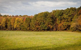 Teren intravilan I 750mp I PUZ I Urbanism I Selimbar - Poză 2