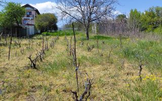 Teren intravilan 3.250 mp în Filești – Ideal pentru casă sau investiție! - Poză 12