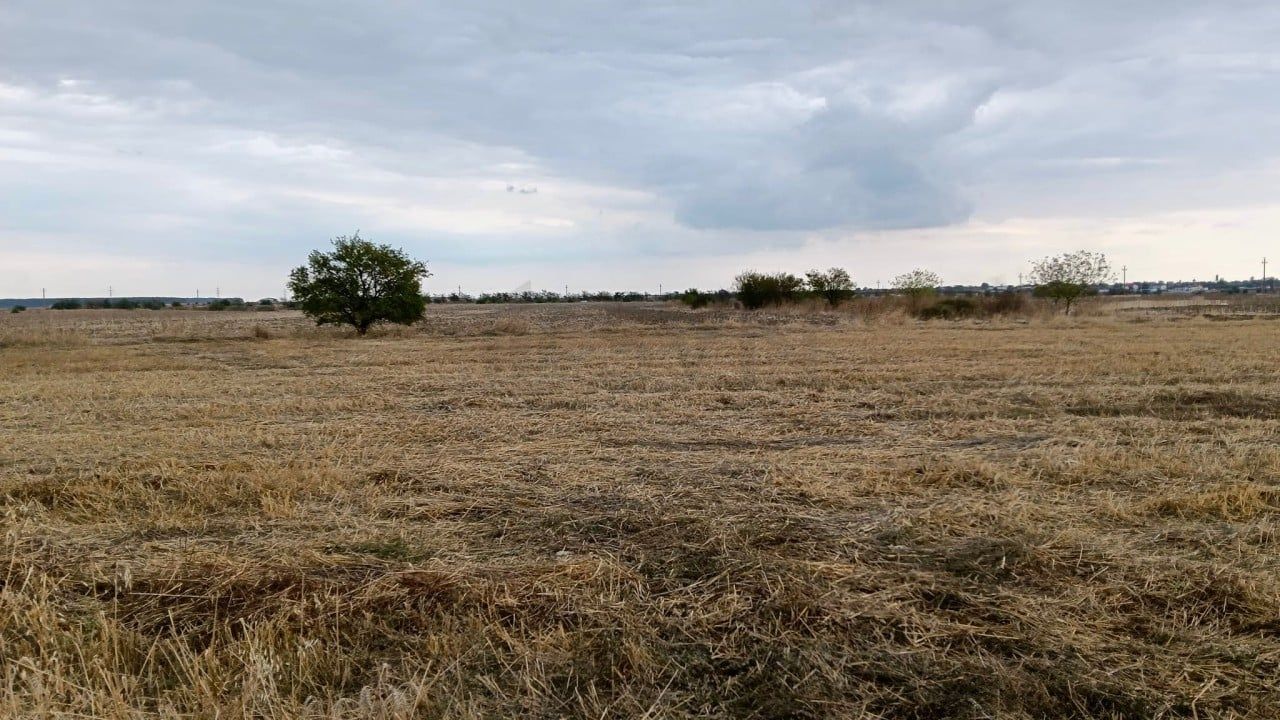 REL4001294 Teren intravilan I Vanzare - Poză 3