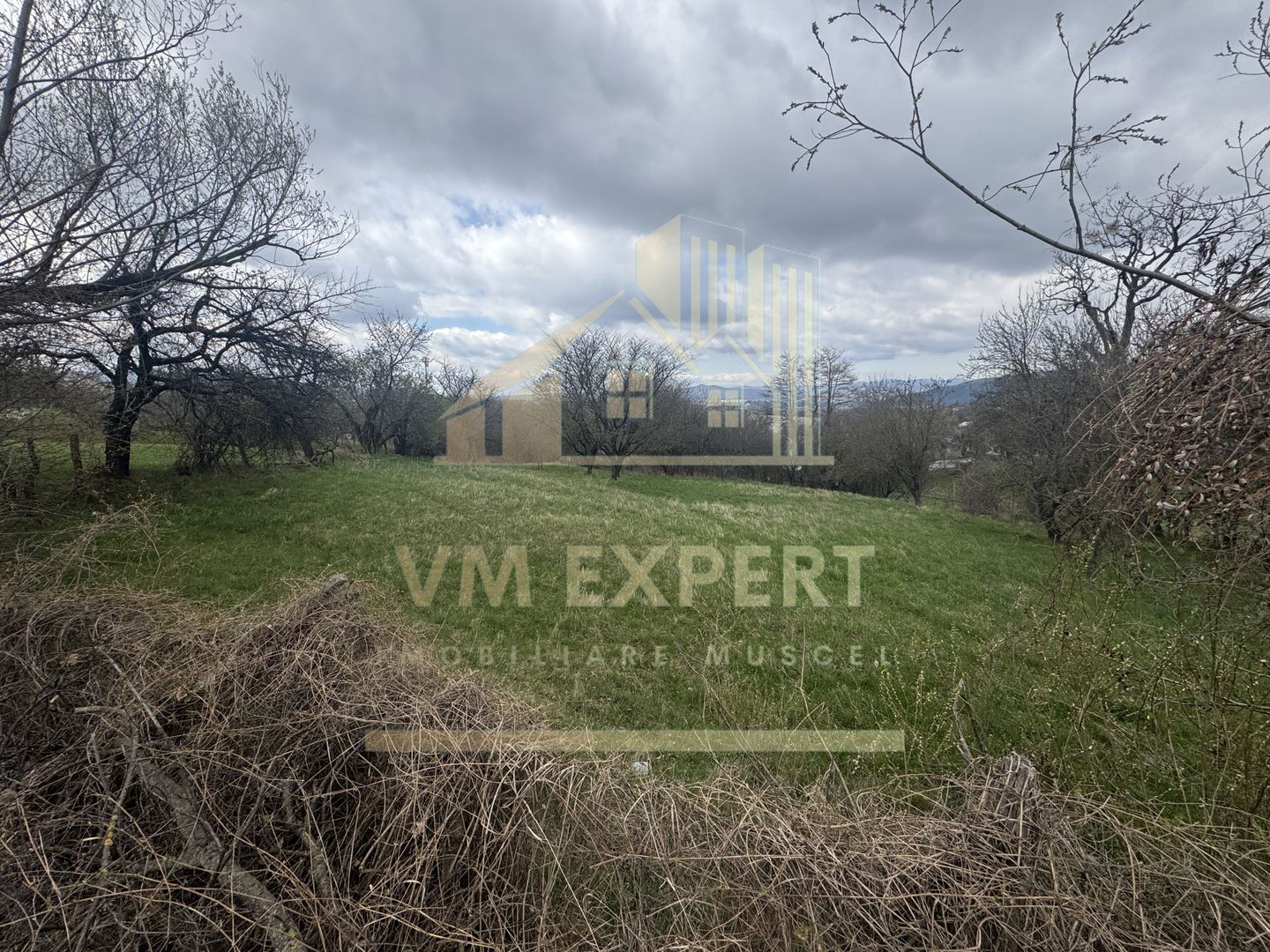 TEREN INTRAVILAN 2153 MP IN VALEA MARE PRAVAT - Poză 3