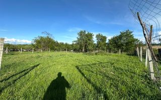 Casă de vânzare | Bucium - Runc (Buciumi) | 1500mp teren - Poză 8