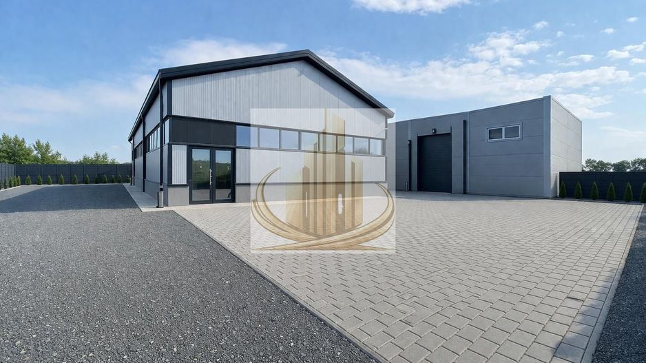 Hală Industrială Săcălaz | 110-330 mp | Acces TIR - Poză 1