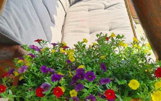 Casă de Vacanță Liniștită în Cluj-Napoca - Poză 6