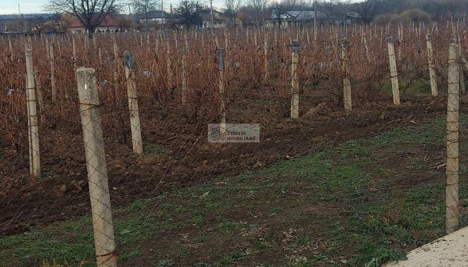 Teren/Loc de casa/Tamboesti - Poză 1