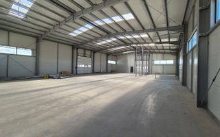 Hala - 700 mp  # plus-imo.ro - Poză 12