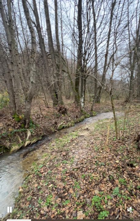 Teren intravilan 6.500 m²–Deschidere 144 ml drum european E81, km 35, Morăresti - Poză 3
