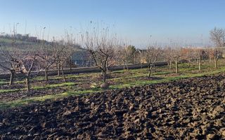 🔥 Teren intravilan 650 mp | Târgu Mureș | 50.000€ | Construibil - Poză 8