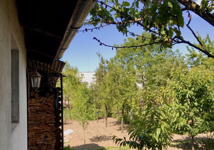 BRASADAS vinde casă cu etaj 8 cam 8 ari zona BOTIZULUI. - Poză 6