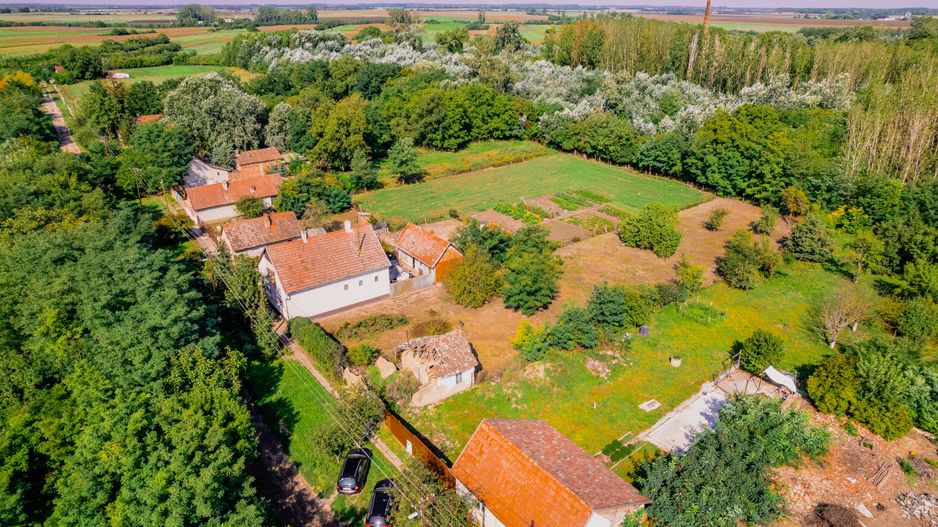 Teren de vânzare în Battonya Ungaria - Poză 8