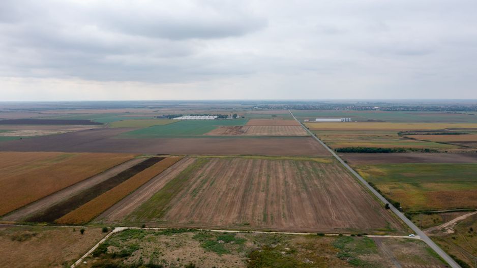 Teren extravilan 5 hectare ( zonă industrială ) Șag - Poză 6