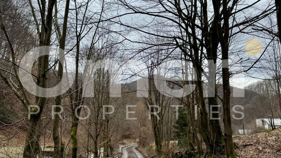 Teren extravilan de vânzare | 1402 mp | Blidari | zonă superbă - Poză 3