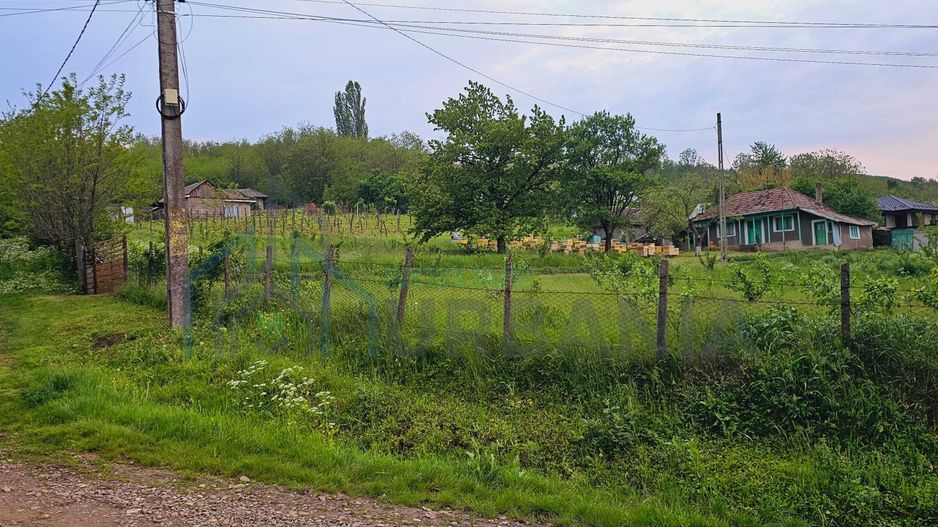 Casă de vânzare în satul Roșu, comuna Răducăneni, județul Iași – teren 5.000 mp cu livadă și vie - Poză 5