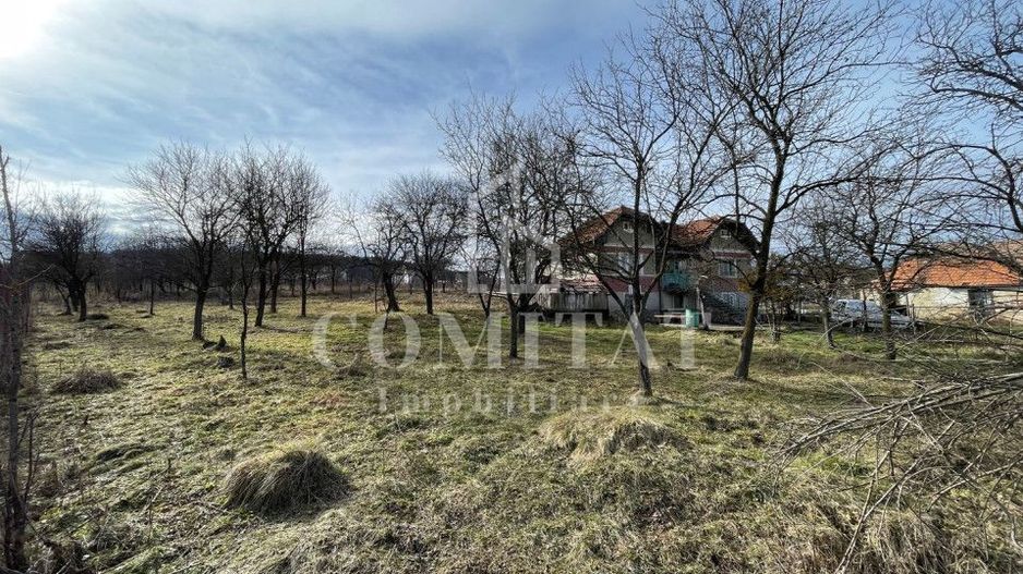 Teren autorizabil la preț foarte bun Chinteni - Poză 2