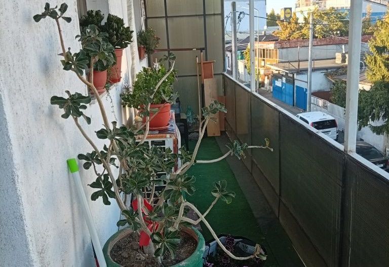 Apartament 2 camere renovat la 2 minute de metrou Crangasi - Poză 8