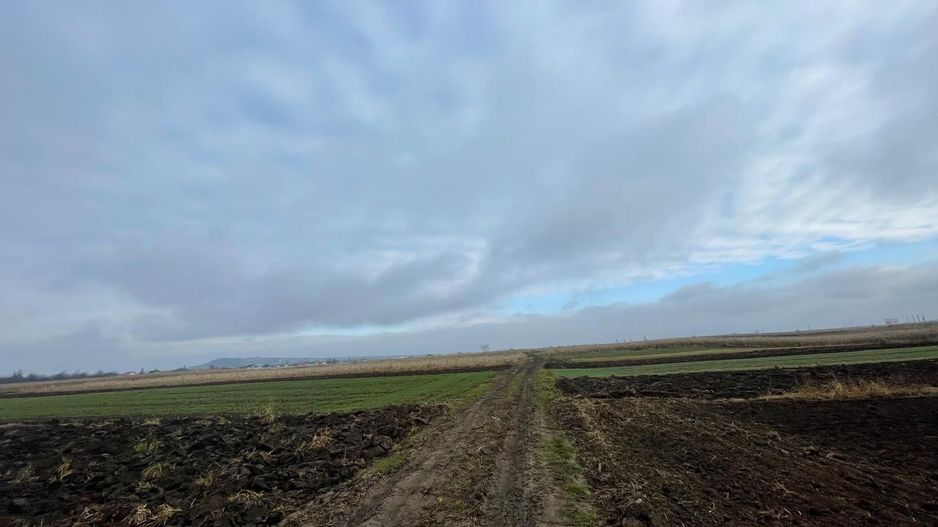 TEREN EXTRAVILAN 13 ARI | FRONT STRADAL 13 M | MARGINEA - Poză 6