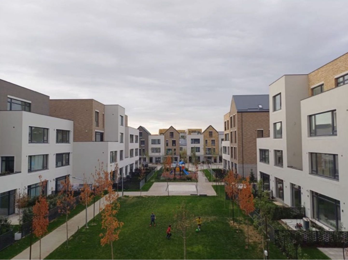 CATTED FAMILY - Poză 2