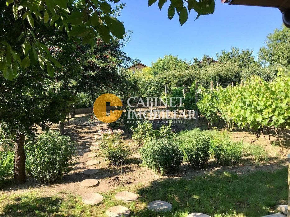 Proprietate deosebită în Aroneanu – 2 case pe teren generos de 1209 mp - Poză 5