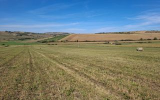 Parcele de teren intravilan constructii Șura Mare Sibiu - Poză 5