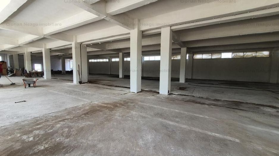 Hala Depozitare de Inchiriat Pitesti - Poză 8