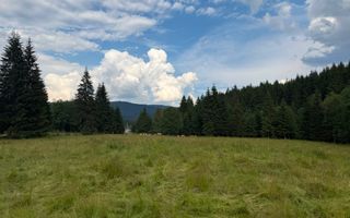 PARCELE DE VÂNZARE, pe malul râului BÂSCA, COMANDAU, COVASNA - Poză 9