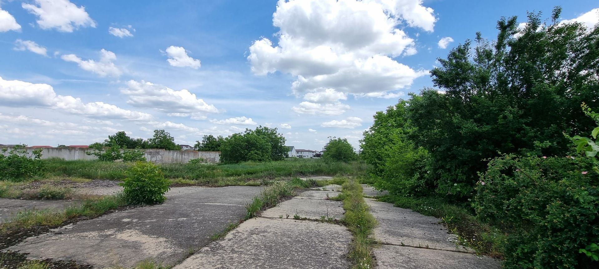 8 ha Otopeni - Poză 1