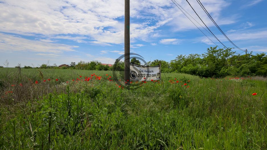 Teren de vanzare | 5000 mp | Parcul Industrial, Ploiesti | COMISION 0% - Poză 1