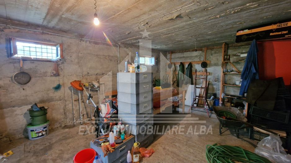 Casa cu livada in Cetea - Poză 16