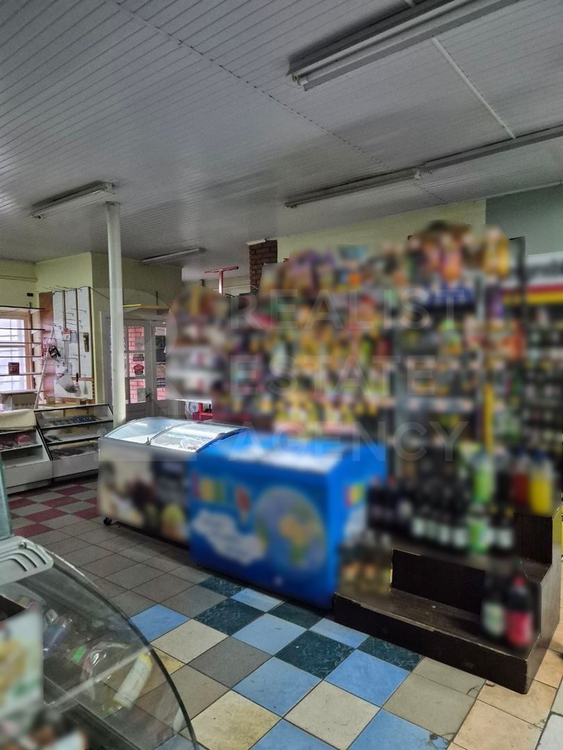 Vânzare spatiu comercial, 125 mp, sat Zgurița, r- nul. Drochia. - Poză 7