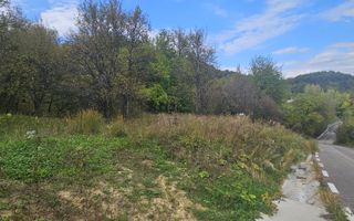 Teren intravilan 828 mp/Baile Govora - Poză 6