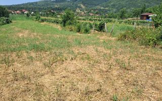 TEREN INTRAVILAN POLOVRAGI - Poză 2