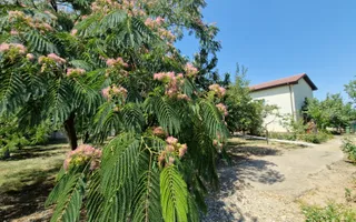 CASA P +E  5 camere -Cosoveni - Poză 17