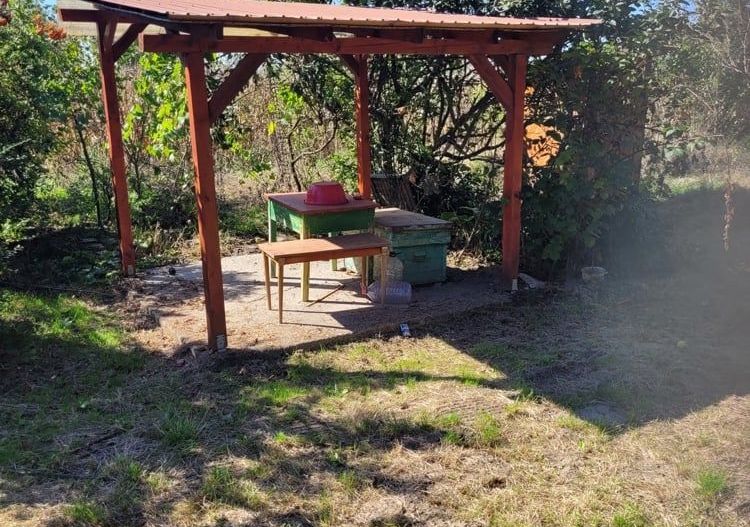 BRASADAS vinde casa in Moftinul Mare. - Poză 6