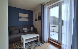 Apartament 2 camere de inchiriat, 47 mp cu terasa 21 mp, str Razoare Vivo - Poză 9