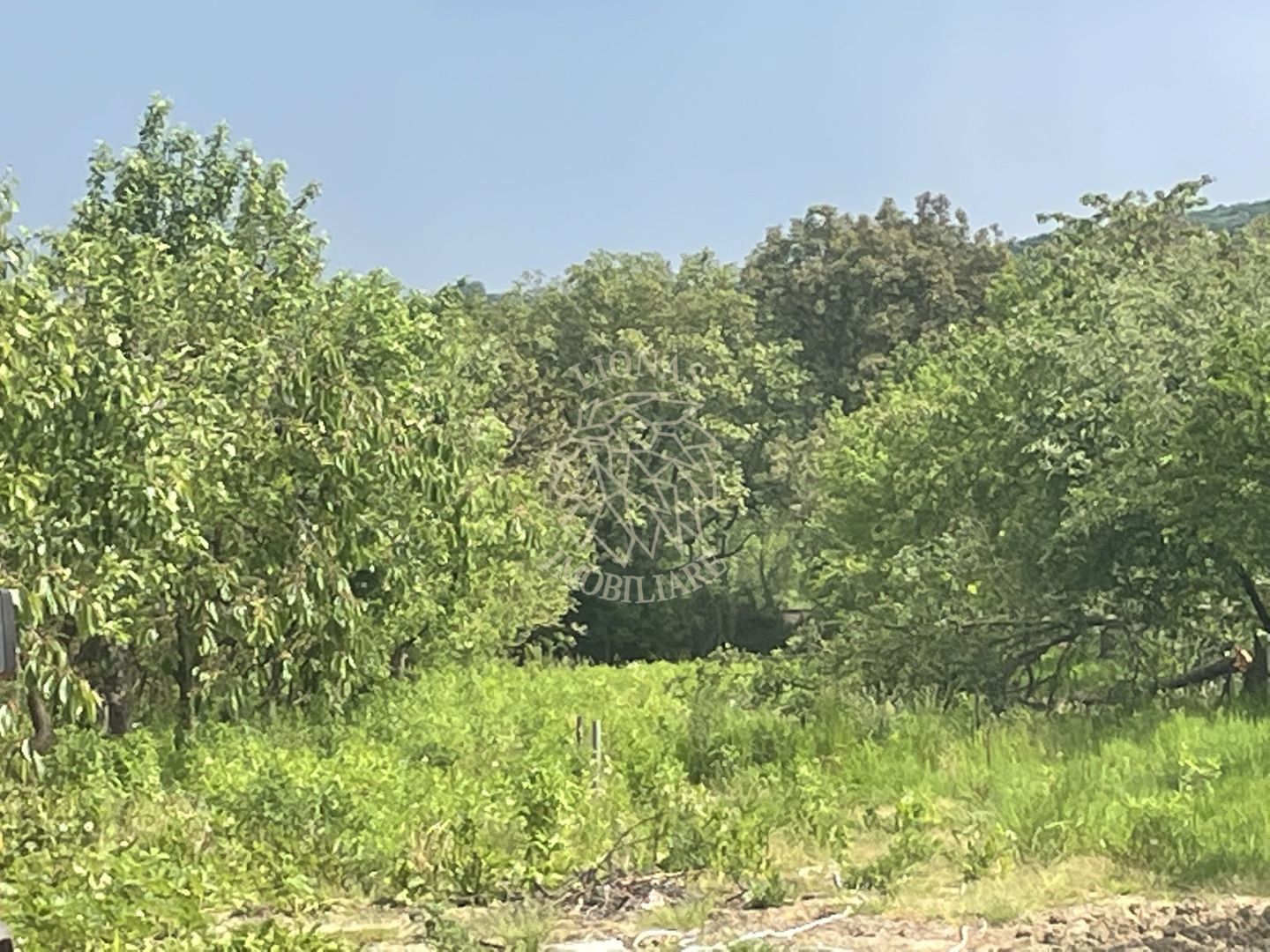 Casa 354 mp utili-teren 2200 mp-ideal business-anexa-Viisoara - Poză 4