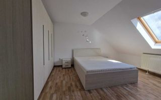 Apartament 2 camere, zonă liniștită, la marginea pădurii, Campului - Poză 7