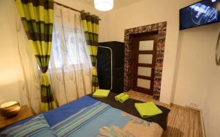 Garsoniera in cartier de case, la curte, pet friendly, Centrul istoric - Poză 2