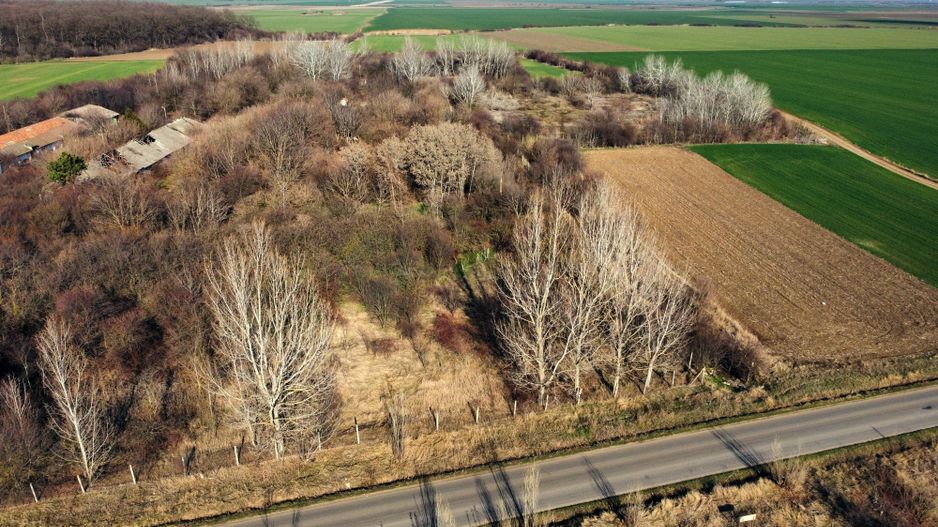Ferma si livada de meri in judetul Ilfov - Poză 22