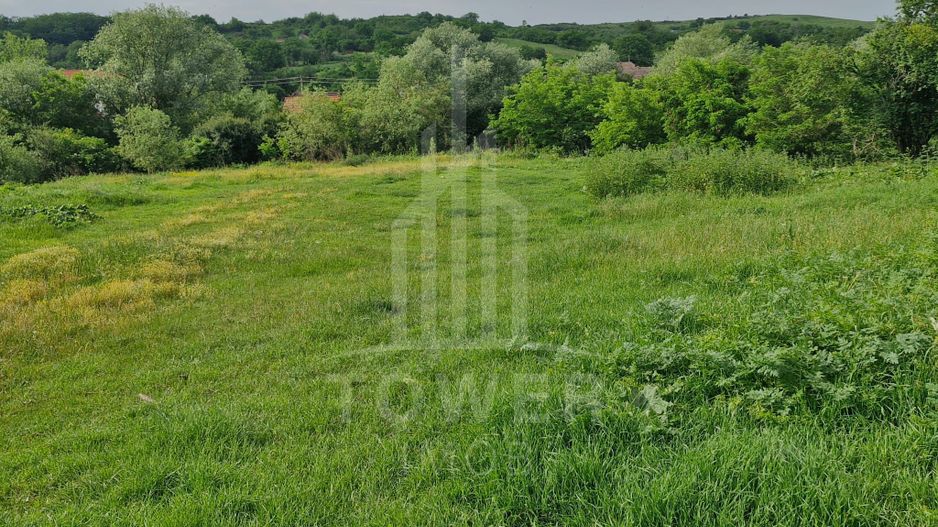 De vânzare Teren versatil 3.919 mp  in localitatea Armeni. Sibiu - Poză 7