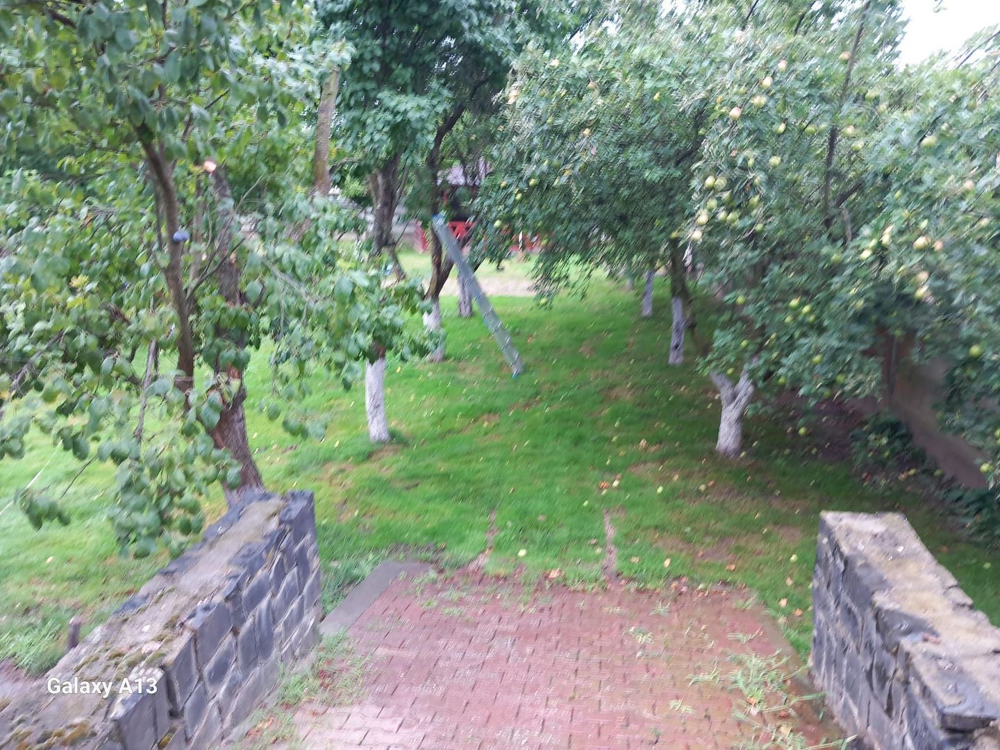 ageuropa.ro vinde casa 16 camere teren 1500mp in zona ULTRACENTRALA. - Poză 24