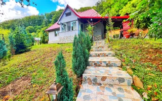 Cabană de vânzare,  10 ari teren, Firiza, Baia Mare! - Poză 17