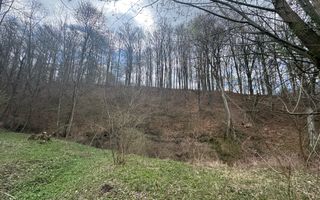 TEREN INTRAVILAN 4365 MP POENARII DE MUȘCEL  JUDEȚUL ARGES - Poză 22