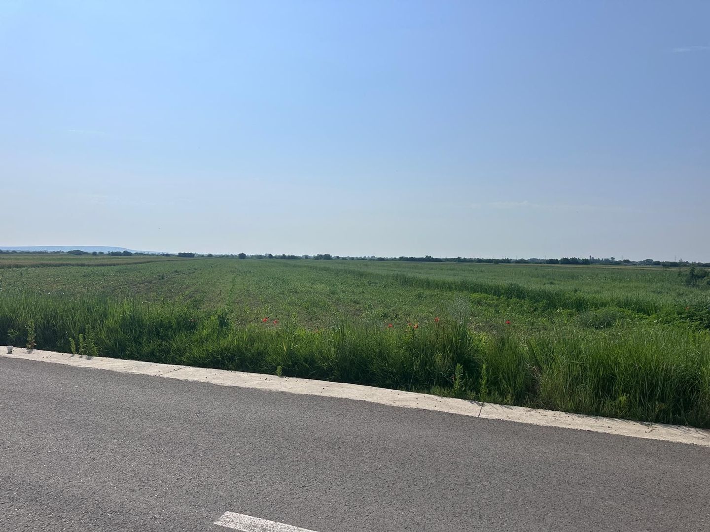 VÂNZARE TEREN MATRACA - Poză 1