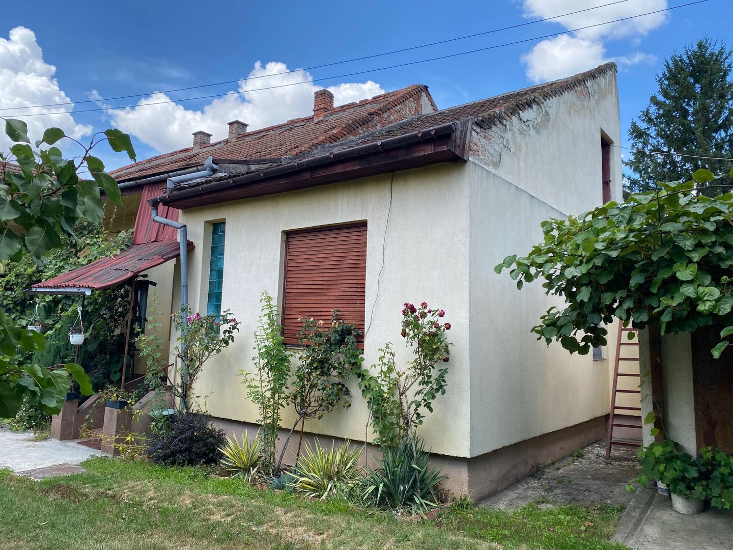 Casa de vanzare in Satu Mare, Str Zutphen. - Poză 2
